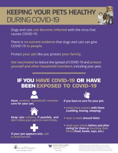 English COVID and Pets Poster