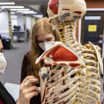 Three students examine a skeleton anatomical model at the University of Washington Health Sciences Library.