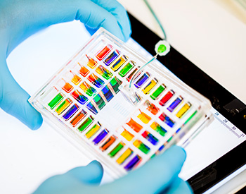 Gloved hands holding a tray of samples.