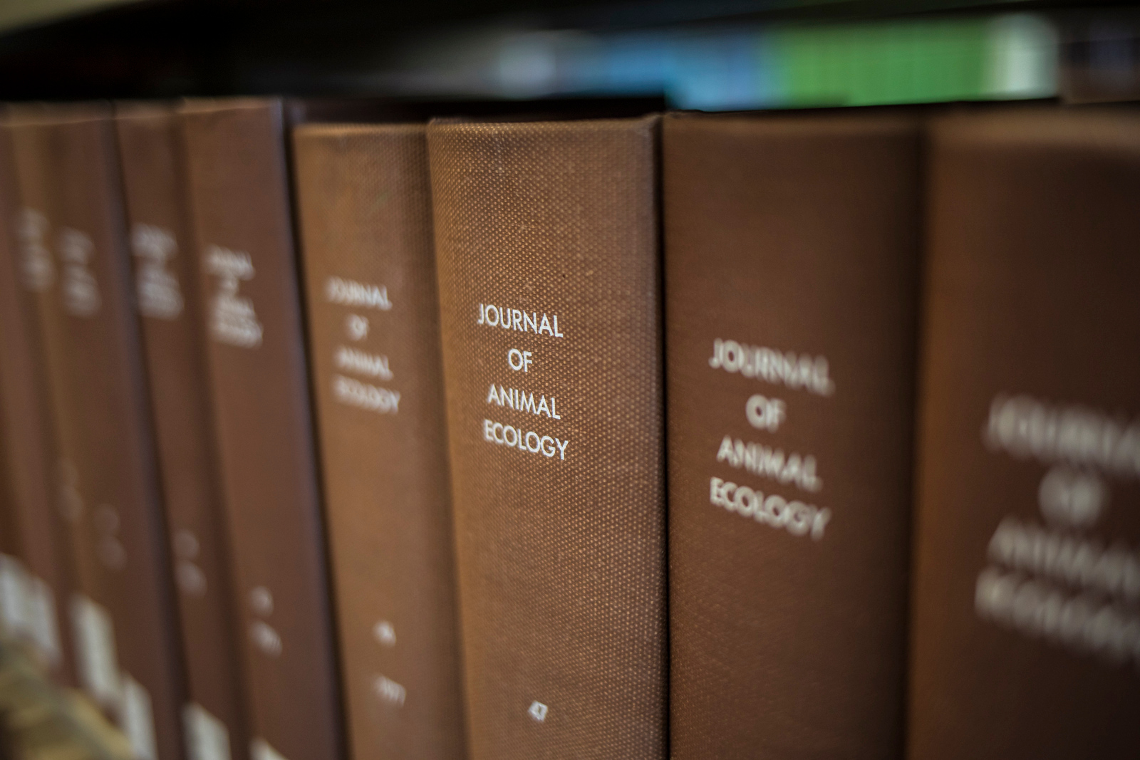 Close-up detailed rows of ecology books